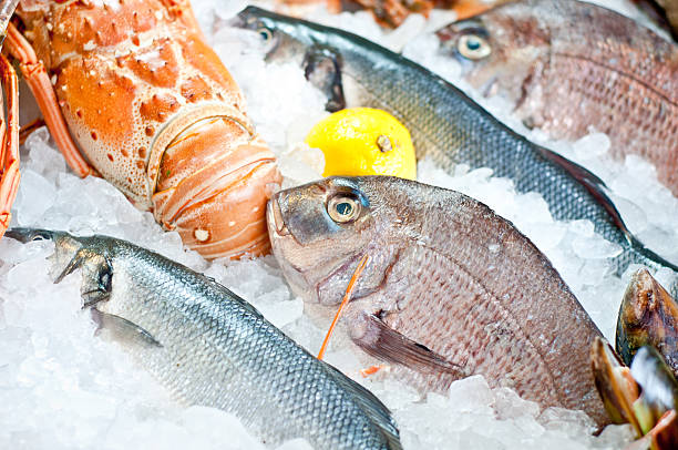 Fresh seafood stock photo