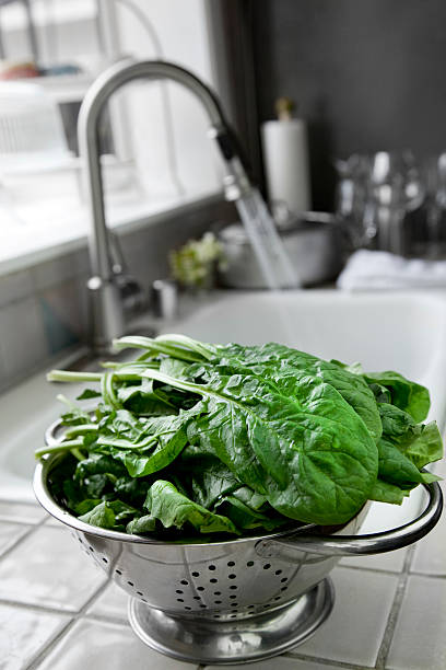 Fresh Spinach stock photo