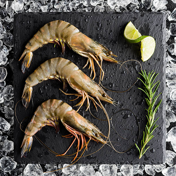 Fresh tiger shrimp on ice on a black stone table stock photo