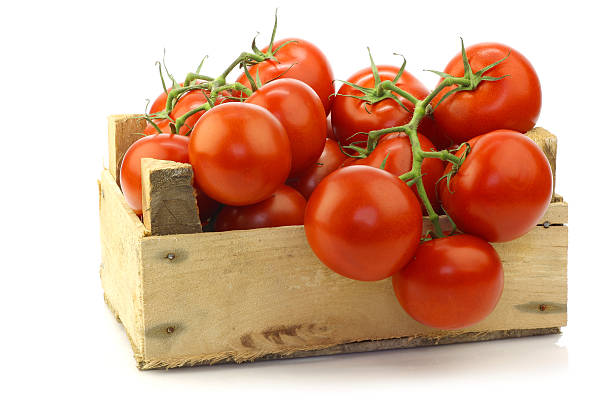 fresh tomatoes on the vine in a wooden crate fresh tomatoes on the vine in a wooden crate on a white background ripe stock pictures, royalty-free photos & images
