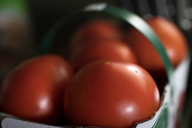 Fresh Tomatoes stock photo