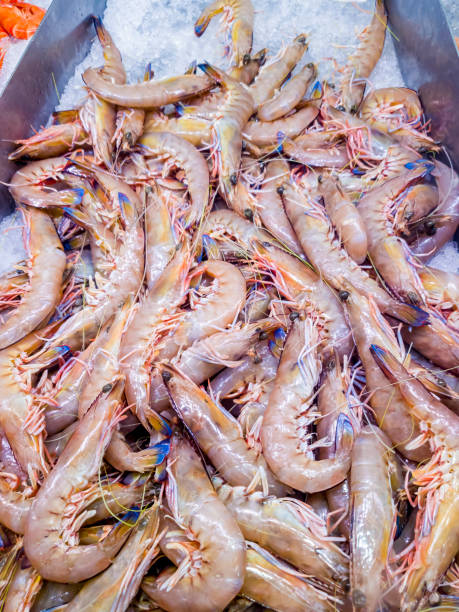 Fresh uncooked shrimps piled up on ice bed stock photo