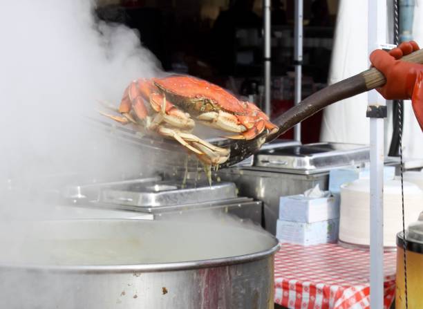 Freshly Cooked Crab stock photo