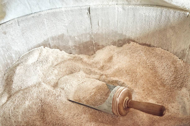 Freshly grounded Organic Wheat Bread Flour into a wooden bucket with a shovel. stock photo