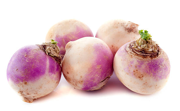 Freshly picked discolored turnips freshly harvested spring turnips (Brassica rapa) on a white background turnip stock pictures, royalty-free photos & images