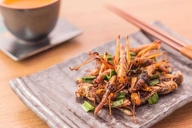 Fried insects Fried insects - Wood worm insect crispy with pandan after fried and add a light coating of sauce and garnish Thai pepper powder with chopsticks, tea, on wooden background, Select focus insect stock pictures, royalty-free photos & images