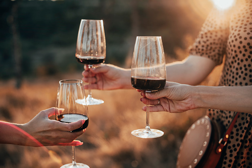 Crop anonymous female friends toasting with glasses of red wine during outdoor party in summer evening in countryside