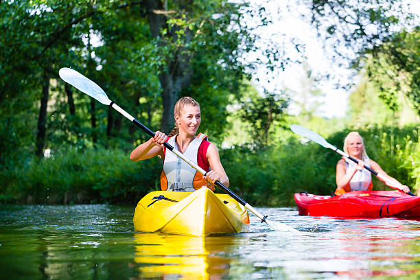friends paddling with canoe on forest river - woman kayaking bildbanksfoton och bilder