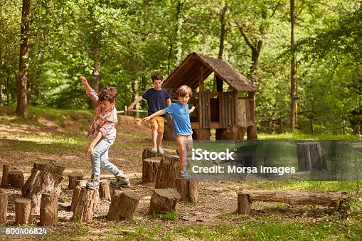 istock Friends playing on tree stumps in forest 800406824