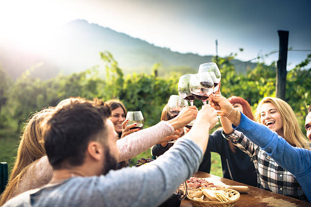 friends toasting with red wine after the harvesting friends toasting with red wine after the harvesting aperitif stock pictures, royalty-free photos & images