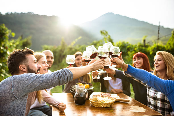 friends toasting with red wine after the harvesting friends toasting with red wine after the harvesting aperitif stock pictures, royalty-free photos & images