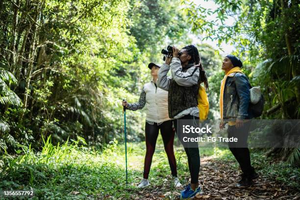 Friends using binoculars in a forest