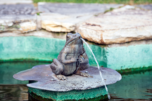 Statue of a frog on a lily pad with water spouting from its mouth
