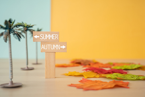 From summer season to autumn season.