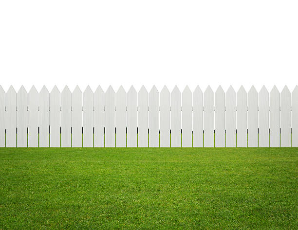 Front or back yard White wooden fence on the grass isolated on white background with copy space fence stock pictures, royalty-free photos & images