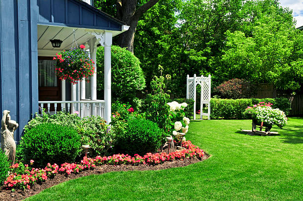 Front yard of a house  front yard stock pictures, royalty-free photos & images