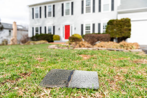 Front yard of house during day aftermath after storm roof tile shingle lying down on grass, damage closeup Front yard of house during day aftermath after storm roof tile shingle lying down on grass, damage closeup replacement stock pictures, royalty-free photos & images