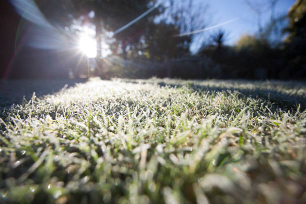 Frost covered lawn in winter, UK stock photo