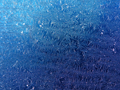 A full frame macro of winter ice crystals formed on a blue metal surface in an intricate natural pattern.