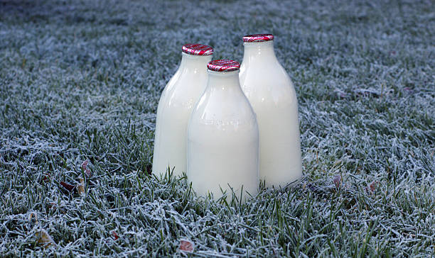 Frosty milk stock photo