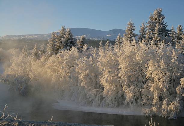 Frosty mist on a river stock photo