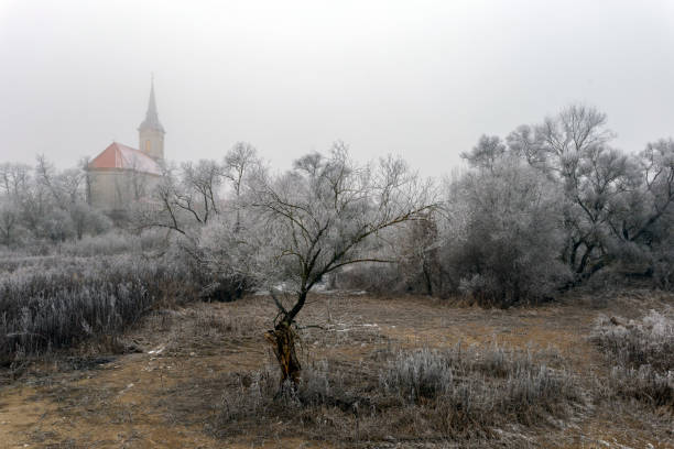 Frosty trees and bushes around the church of  Sajopuspoki on a winter day stock photo