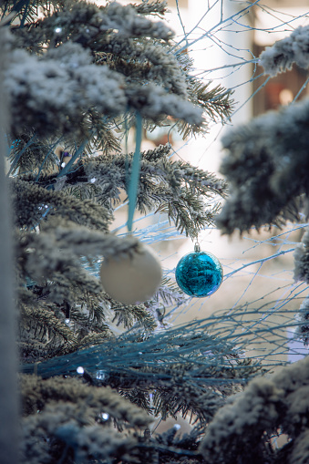Detail shot of blue bauble spheres hanging on frozen fir branches outdoor