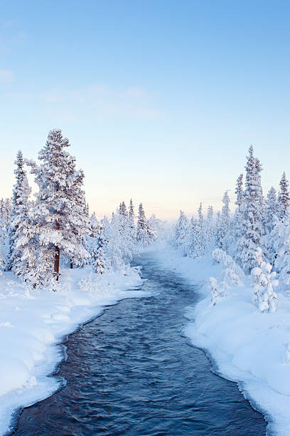 Frozen Forest and River stock photo
