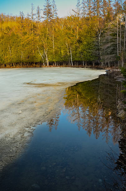 Frozen Lake with reflection of trees in the water stock photo