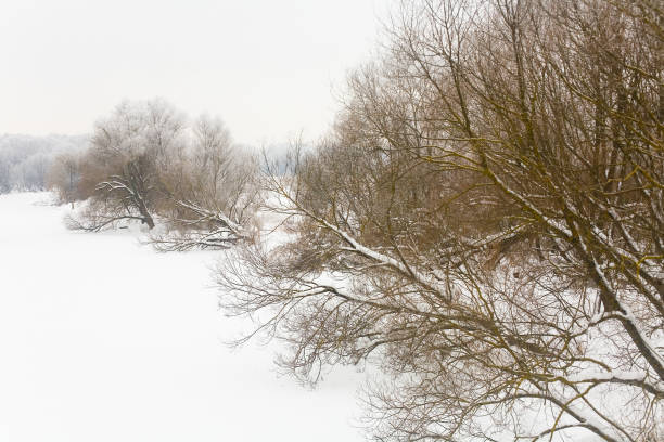 Frozen river Klyazma and trees on the bank in the Moscow region. stock photo