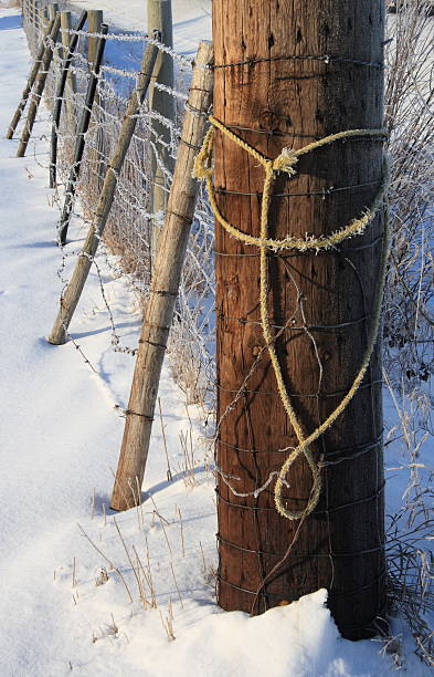 Frozen Rope stock photo