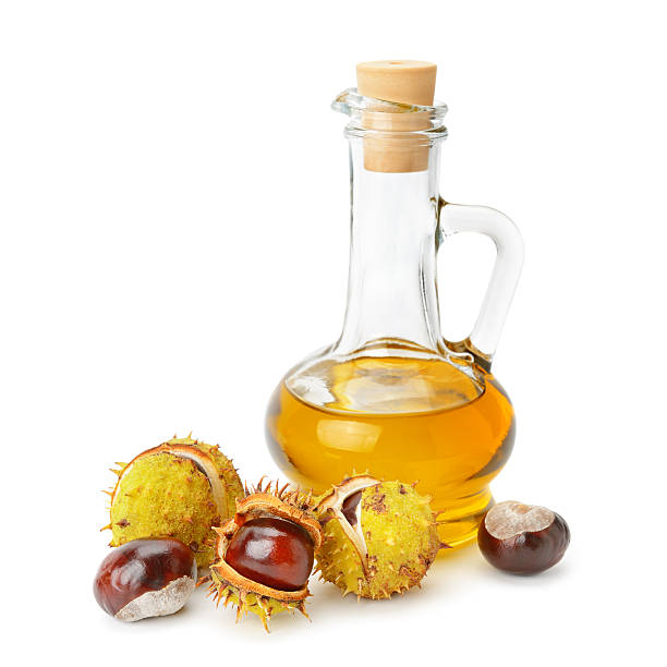 fruit and oils chestnuts fruit and oils chestnuts isolated on a white background horse chestnut seed stock pictures, royalty-free photos & images