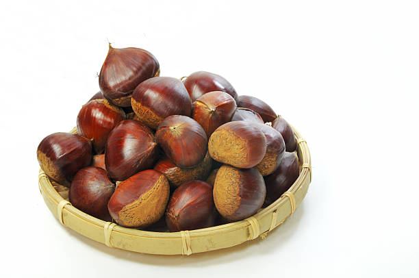 Fruit of heaping of chestnut stock photo