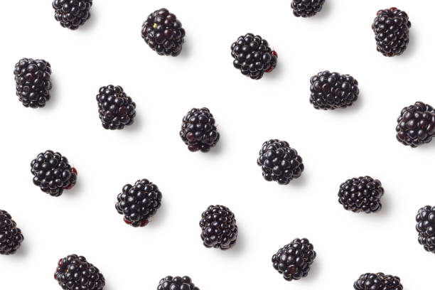 Fruit pattern of blackberries Fruit pattern of blackberries isolated on white background. Top view. Flat lay ripe stock pictures, royalty-free photos & images
