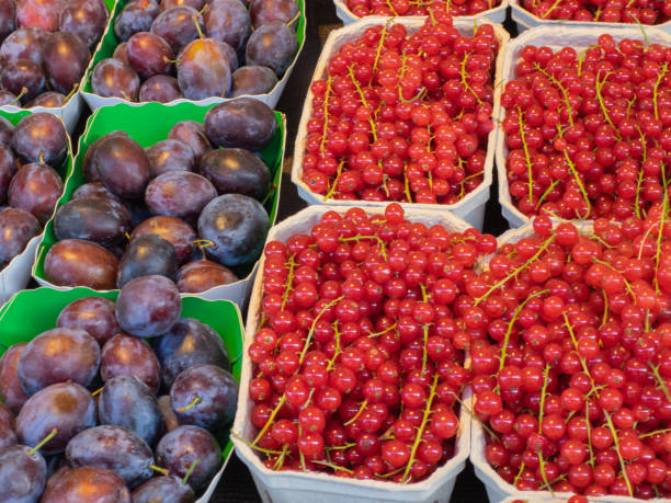 Fruit stall on the farmers market with fresh red currants and plums stock photo