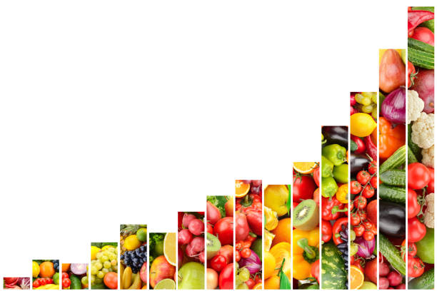 fruits and vegetables growth concept - food chart healthy imagens e fotografias de stock