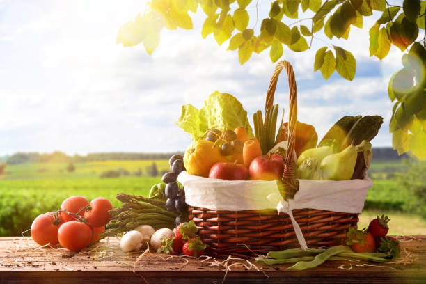 Fruits and vegetables on table and crop landscape background Assortment of fruits and vegetables in a wicker basket on a wooden table on crop landscape background. Horizontal composition. Front view orchard stock pictures, royalty-free photos & images