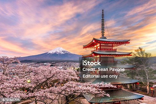 istock Fuji Japan in Spring 876560704