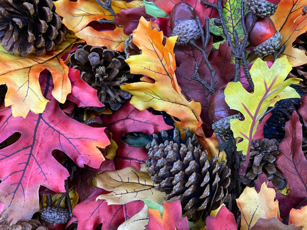Full frame image of autumn decoration display of artificial foliage, autumnal coloured fallen leaves, dried pinecones, fake acorns, purple maple and orange oak leaves, elevated view stock photo