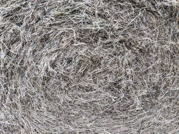 Full frame monochrome background of hay bale stock photo