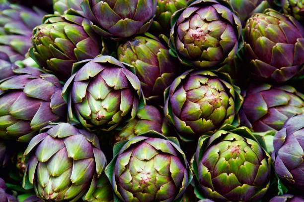 full frame of purple italian artichokes full frame of purple italian artichokes at the farmer's market organic photos stock pictures, royalty-free photos & images