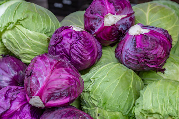 A Full Frame Photograph of Red and Green Cabbages A Selection of Mixed Cabbages For Sale on a Market Stall cabbage stock pictures, royalty-free photos & images