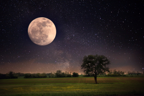 Full moon and lonely tree