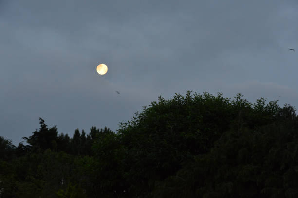 Photo of Full moon with a backdrop of heavy dark cloud at dawn in June 2021 in the UK.
