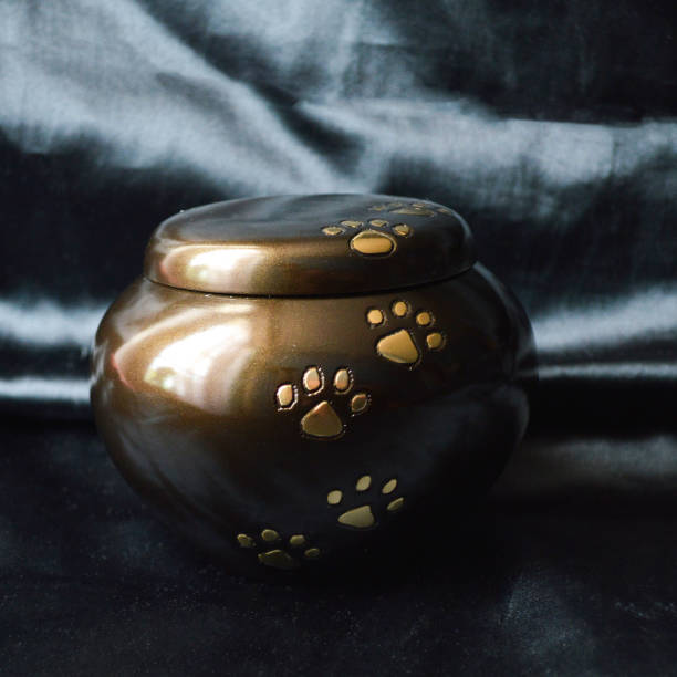 Funeral urn pets Funeral urn for pets, after the cremation. funerary urn stock pictures, royalty-free photos & images