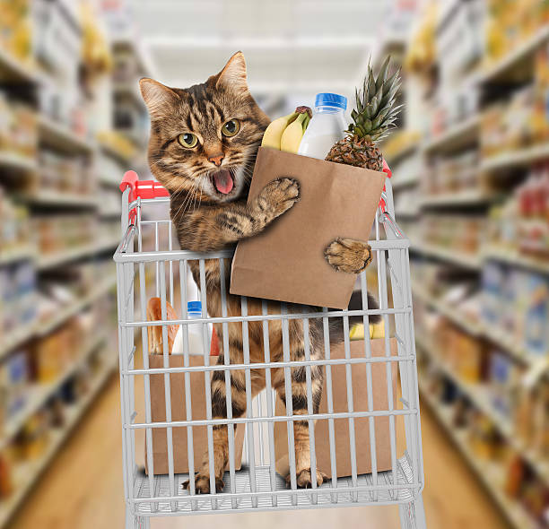 354 Cat Shopping Cart Stock Photos, Pictures & Royalty-Free Images - iStock