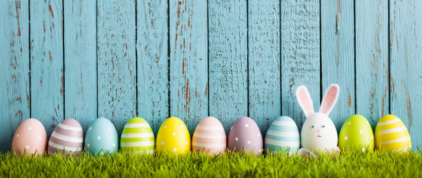 Funny Easter Egg Rabbit on grass Photography of an easter egg decoration. Shifted multi photo stich. egg photos stock pictures, royalty-free photos & images