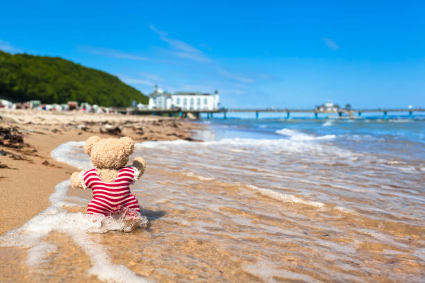 Funny Summer Beach Scene Teddy bear in striped nostalgic swimsuit enjoy beach life at sea near pier building (copy space) sellin stock pictures, royalty-free photos & images