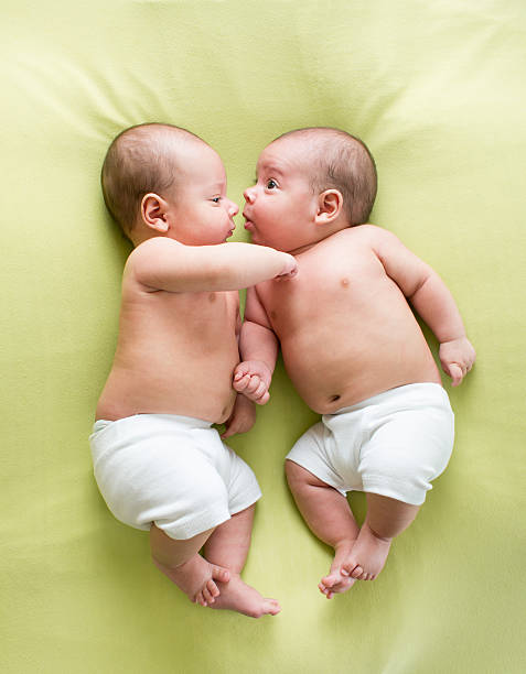 funny twins brothers babies lying on green stock photo
