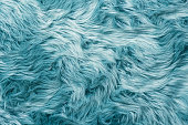 istock Fur texture top view. Turquoise fur background. Fur pattern. Texture of turquoise shaggy fur. Wool texture. Flaffy sheepskin 1350782130